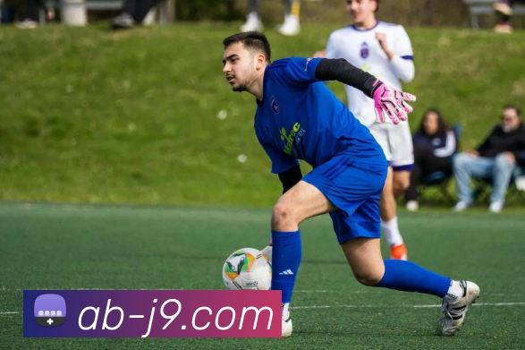 App Interface Preview